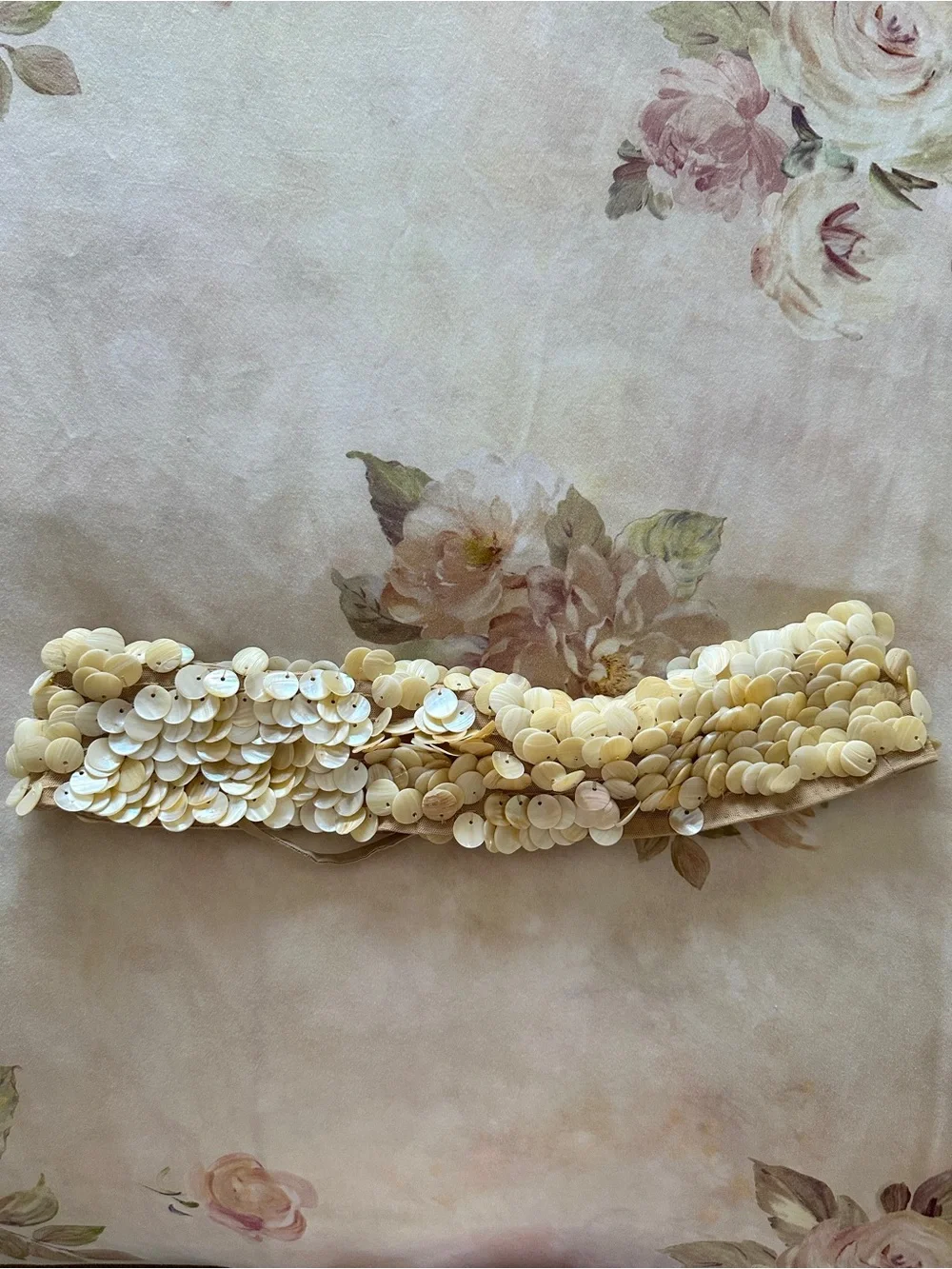 Mother of Pearl Shell Belt